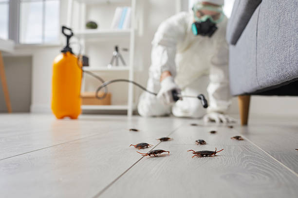 Commercial Kitchen Cockroach Control in Osceola